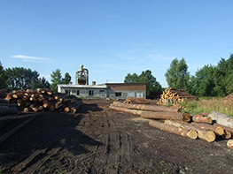 Tartak Jan Ligenza