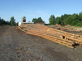 Tartak Jan Ligenza