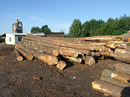 Tartak Jan Ligenza